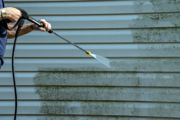 Best Graffiti Removal  in Breese, IL